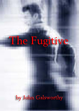 Cover image for The Fugitive